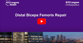 Distal Biceps Femoris Tendon Reinsertion Repair 